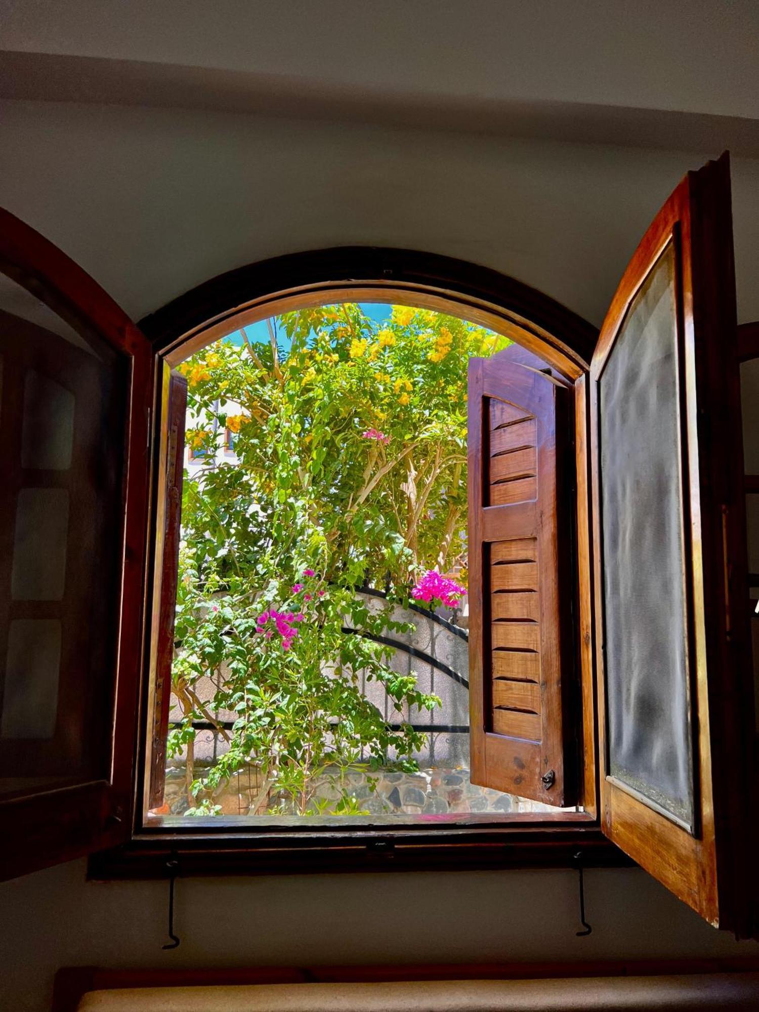 Rafiki Hostels - Dahab Exterior foto